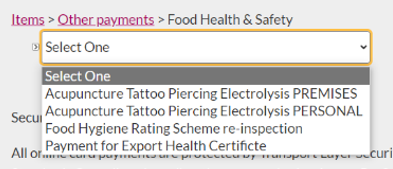 Menu displays four options including acupuncture tattoo piercing electrolysis for premises and personal applications.